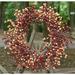 Millwood Pines 22" Fall Berry Wreath in Red | 24 H x 24 W x 5 D in | Wayfair BAF5D1A91922431BB0558E6AB4C2F718