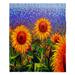 East Urban Home Sunflowers Soft Sherpa Blanket Microfiber/Fleece/Microfiber/Fleece | 51 W in | Wayfair B51869613E9948CE82A56E17360C081D