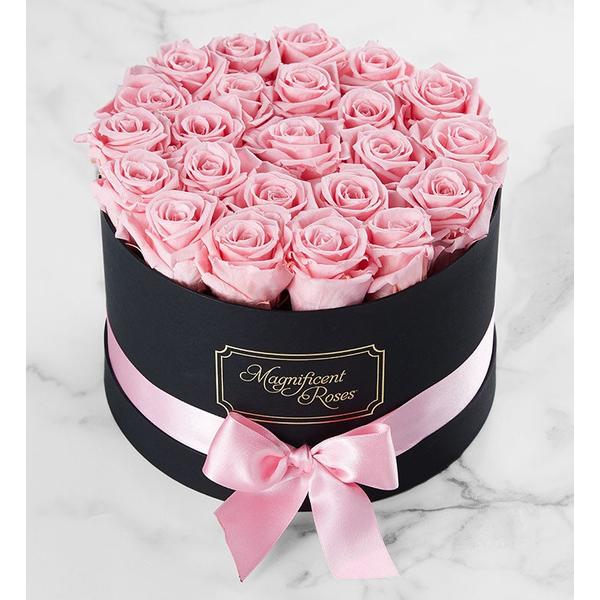 1-800-flowers-flower-delivery-magnificent-preserved-roses-two-dozen-pink/