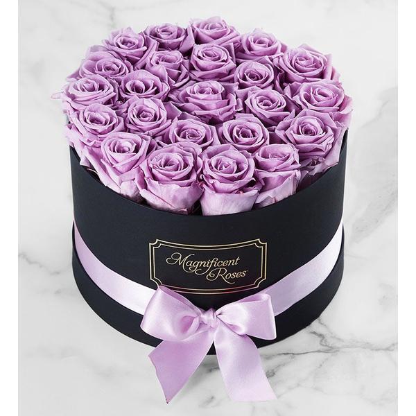 1-800-flowers-flower-delivery-magnificent-preserved-roses-two-dozen-lavender/
