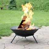 Wrought Studio™ Eckard Raised Cast Iron Wood Burning Fire Pit Cast Iron/Iron in Brown/Gray | 10 H x 22 W x 22 D in | Wayfair