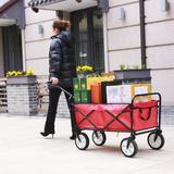 AOOLIVE Folding Wagon Garden Shopping Beach Cart | 46.46 H x 40.5 W x 21.26 D in | Wayfair AOO22701511