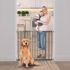 Dreambaby Ava Pressure Mounted Security Gate w/Extensions Metal in Black | 30 H x 39.5 W x 2 D in | Wayfair L2098BB