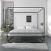 CosmoLiving by Cosmopolitan Celeste Canopy Bed Metal in Black | 73 H x 62 W x 82.5 D in | Wayfair 4456039CL