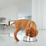 Iconic Pet Anti Ant Non-Skid Pet Bowl Metal/Stainless Steel (easy to clean) in Gray | 2.25 H x 7.75 W x 7.75 D in | Wayfair 51435