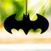 Trend Setters Batman Bat Symbol Logo Hanging Shaped Decoration Plastic | 3.5 H x 3.5 W x 0.25 D in | Wayfair ACPBAT267