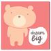 Isabelle & Max™ 'Dream Big Teddy Berry' Framed Graphic Art Paper in Pink | 12 H x 12 W x 0.75 D in | Wayfair DB0B26A86DC54069A3EA7B05E9734D1A