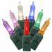 The Holiday Aisle® Italian LED Single Mold Christmas Light Set in Green/White | 2 H x 408 W x 0.25 D in | Wayfair X4G7100