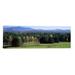 Ebern Designs 'Trees in a forest, Stowe, Lamoille County, Vermont | 20 H x 60 W x 1.5 D in | Wayfair DB0CE29FD07340EE832F9A2DC78E6B12