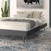 Ebern Designs Loryn Bed Frame w/ Round Splayed Legs Upholstered/Polyester in Gray | 13 H x 79.5 W x 85.5 D in | Wayfair