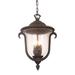 Kalco Santa Barbara 3-Light Outdoor Hanging Lantern Glass/Metal in Black | 18 H x 12.75 W x 12.75 D in | Wayfair 9007MB