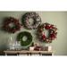 Greyleigh™ Javin Preserved Boxwood Wreath in Green | 16 H x 16 W x 2 D in | Wayfair LRFY4751 34660101