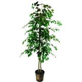 Beachcrest Home™ Williar 62" Artificial Ficus Tree in Planter Plastic/Metal in Brown | 72 H x 24 W x 24 D in | Wayfair