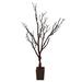 Ebern Designs Manzanita Tree in Planter Wood/Plastic in Brown | 48 H x 26 W x 26 D in | Wayfair NP56101