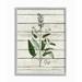 Gracie Oaks 'Sage Vintage Herb Kitchen Dining Room Word Collage Design' Graphic Art on Canvas in Green | 14 H x 11 W x 1.5 D in | Wayfair