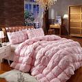 ZXGQF Goose Feather and Down Duvet/Quilt, Hypoallergenic Quilted Down Alternative Hotel Style Use Insert or Stand Alone Comforter (Pink,180x220cm/3kg)