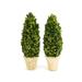 Charlton Home® 2 Preserved Boxwood Topiary in Pot Set Terracotta | 16 H in | Wayfair 9D92FD4E58CA49C393FE0A3D55D53234