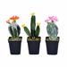 Brayden Studio® 3 Artificial Cactus Plant in Pot Set Silk/Plastic | 8 H x 3 W x 3 D in | Wayfair EBDE134E635C45E09395D02E1C33F90D