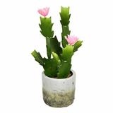 Union Rustic Artificial Cactus Plant in Pot Silk/Ceramic/Plastic | 11 H x 5 W x 5 D in | Wayfair C1F319198DDC4F51B8A5868E3F82CBCE