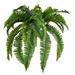 Bayou Breeze Artificial Fern Bush Silk/Plastic/Fabric | 19 H x 18 W x 18 D in | Wayfair E7FE63C78DD947959B477927A21253E0