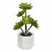 Brayden Studio® Artificial Succulent in Pot Silk/Plastic/Stone in Gray | 13 H x 8 W x 8 D in | Wayfair 5D86FF1FF1A149B4B2E2DAD3A0CF9899