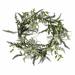 Bayou Breeze Fern 24" Plastic Wreath in Green | 24 H x 24 W x 4 D in | Wayfair F1999FFF6E4C4BF9B2DEBB8747224DE7