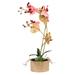 Rosdorf Park Artificial Orchid & Succulent Arrangement Silk/Plastic/Fabric in Red/Pink | 18 H x 7 W x 9 D in | Wayfair