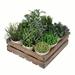 Loon Peak® 9 Artificial Grass in Pot Set Silk/Wood/Plastic in Brown | 8 H x 12 W x 12 D in | Wayfair D2EAB467F6074C3F8250AFFF8AEABD09