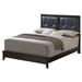 Glory Furniture Tufted Low Profile Platform Bed Wood & /Upholstered/Faux leather in Black/Brown/White | 52 H x 64 W x 85 D in | Wayfair G1300A-QB