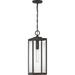 Quoizel 20 Inch Tall Outdoor Hanging Lantern - WVR1907WT