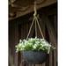 Latitude Run® Pollyanna Self-Watering Resin Hanging Planter Resin/Plastic/Stone in Black | 6.75 H x 12 W x 12 D in | Wayfair