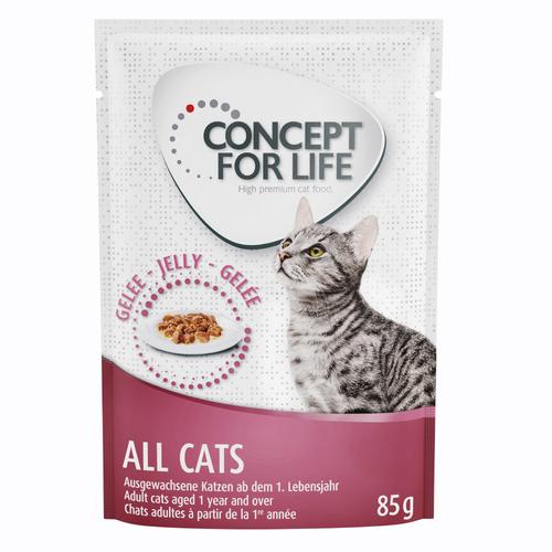 24 x 85g All Cats in Gelee Concept for Life Katzenfutter nass