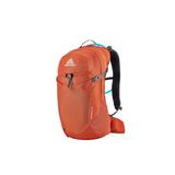 Gregory Citro 24 H2O Daypack - Men's Spark Orange 126894-0626