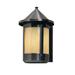 Red Barrel Studio® Arinze 1-Light Outdoor Wall Lantern Glass in Brown | 13.25 H x 8.38 W x 9.5 D in | Wayfair 453D81EF229D4789943109D18B3411D3