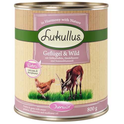 24x800g Naturkost Junior Geflügel&Wild Lukullus Hund