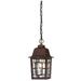 Nuvo Lighting 63490 - 1 Light 11" Rustic Bronze Clear Water Glass Shade Hanging Lantern (Banyan 1 Lgt Outdoor Hanging)