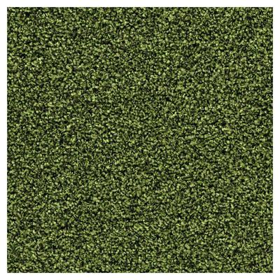 forbo Fußmatte Fußabstreifer Coral Bright 2608 fresh grass, 90x150 cm