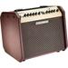 Fishman Loudbox Mini Bluetooth 60W Acoustic Combo Amplifier PRO-LBT-500