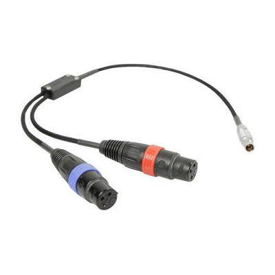 Remote Audio CAXSTEL6M Dual XLR Female to Male 6-Pin LEMO Balanced Stereo Y-Cable for Ar CAXSTEL6M