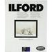 Ilford Multigrade Art 300 Paper (11 x 14", 10 Sheets) 1170443