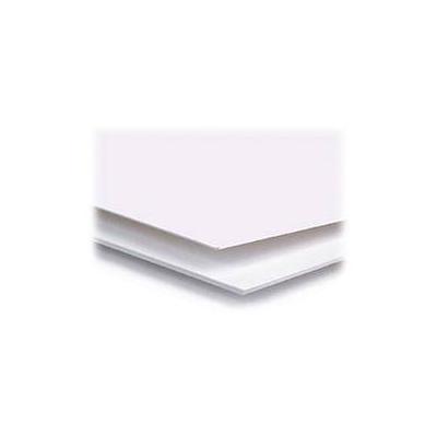 Archival Methods 4-Ply Pearl White Conservation Mat Board (18 x 24