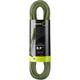 Edelrid Swift Protect Pro Dry 8,9mm Kletterseil (Größe 50M, night-green)