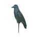 Flambeau Crow Decoy 12 pk. Black 5900CR