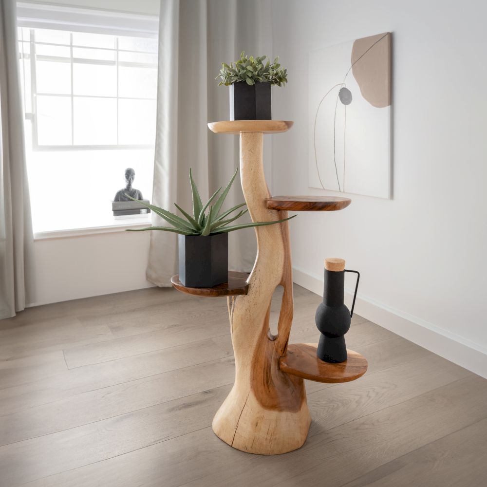 die Faktorei »Kaktus« Unikat Deko-Objekt mit Ablagen aus Suar-Holz Image