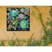 Bungalow Rose Main Succulent Fanfare Indoor/Outdoor Wall Decor All-Weather Canvas | 24 H x 24 W x 1.5 D in | Wayfair