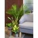 Costa Farms 16" Devil's Ivy Plant in Planter | 5 H x 9 D in | Wayfair CO.PO60.4D.UP