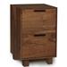 Copeland Furniture Linear Office Storage 2-Drawer Vertical Filing Cabinet Wood in Brown | 28.88 H x 18 W x 18.5 D in | Wayfair 4-LIN-25-04