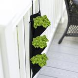 Touch of ECO Organic Hanging Basil Growing Kit, Nylon in Black | 24 H x 3 D in | Wayfair 6072-6002-3112