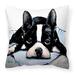 Winston Porter Amy-Louise Boston Terrier Jake Dog Tired Indoor/Outdoor 14" Throw Pillow Polyester/Polyfill blend | 18 H x 18 W x 3 D in | Wayfair