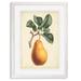 August Grove® 'Antique Pear Botanical I' by Paul Cezanne - Picture Frame Painting Print Paper in Green/Orange | 30 H x 22 W x 1 D in | Wayfair